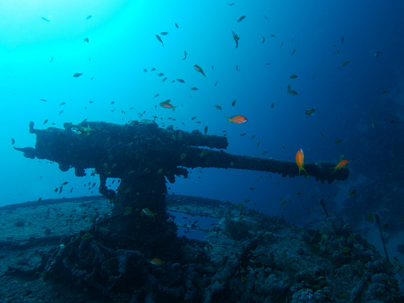 Thistlegorm Wreck Diving