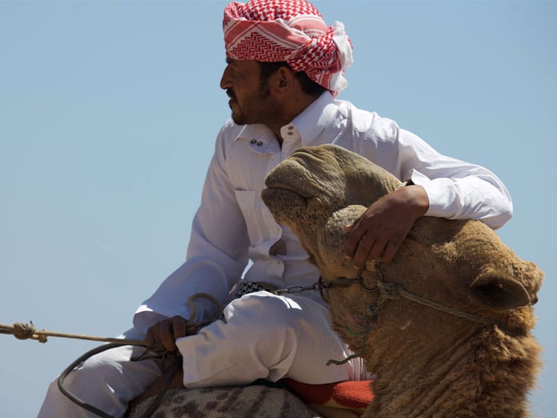 Bedouins and camel in Dahab