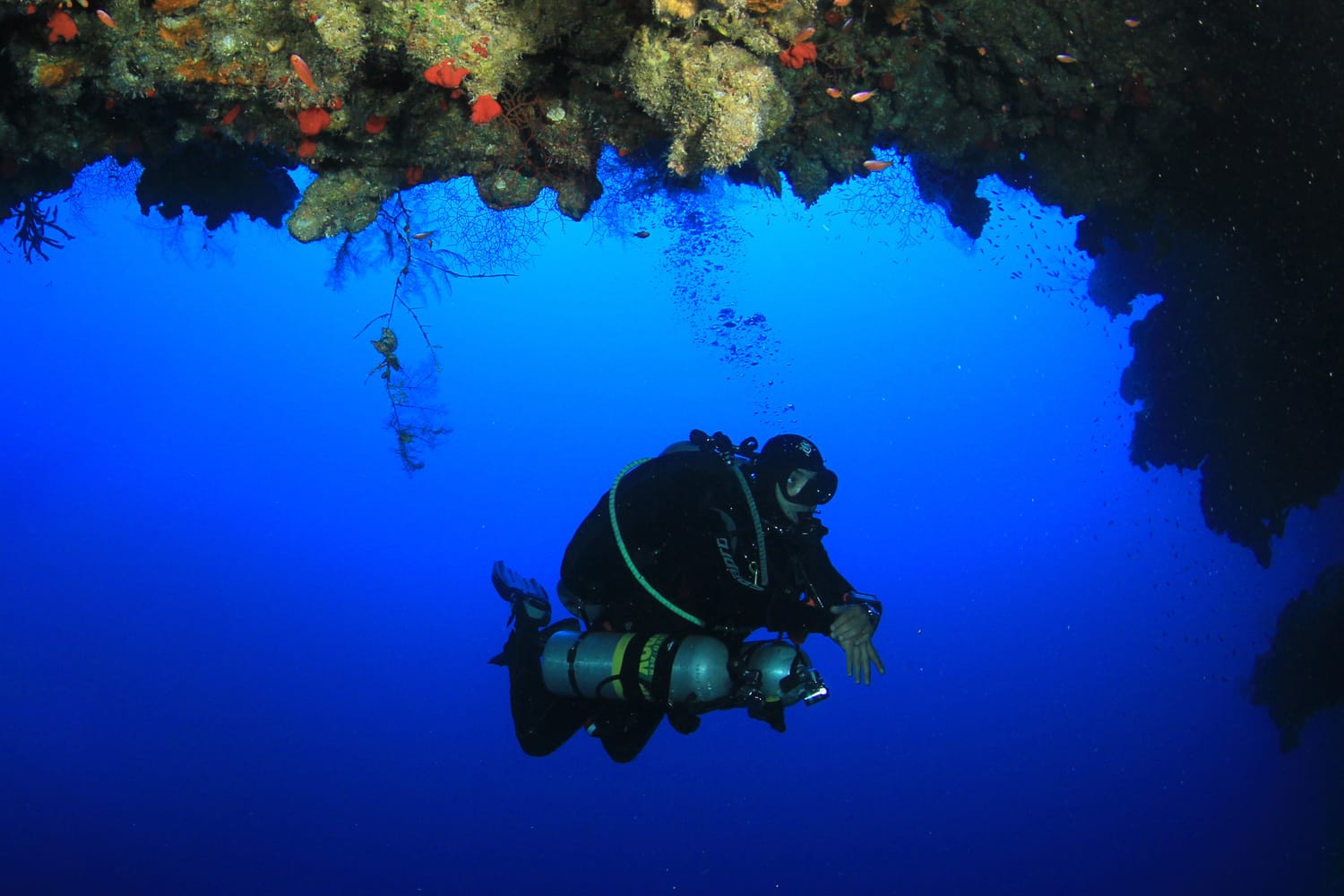 Technical Diving Prices